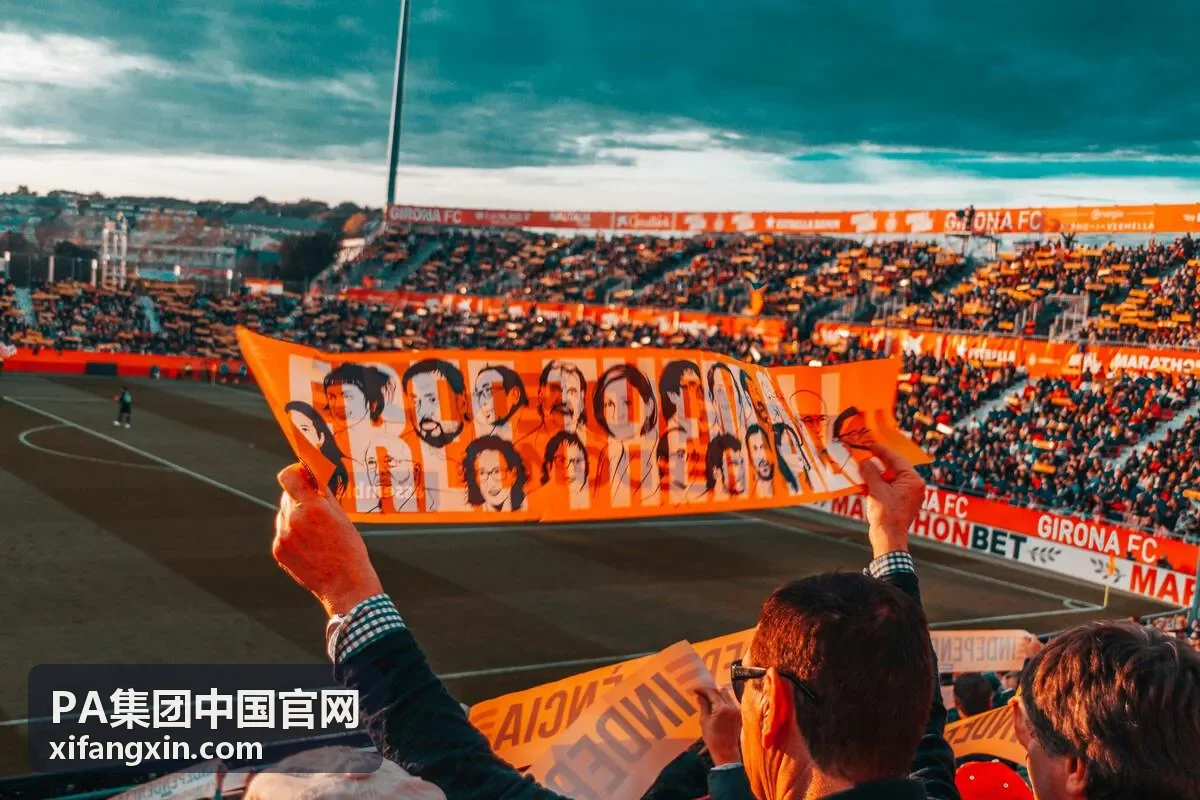 PA集团组织变革案例